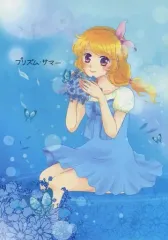 【中古】男性向一般同人誌 ≪アイカツ！≫ プリズム・サマー / ハイカ / PLANET CANDY