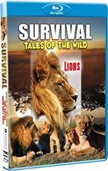 [중고]Survival: Tales of the Wild - Lions [Blu-ray] [Import]
