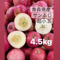 青森県産サンふじ　小玉りんご　ピンコ4.5kg