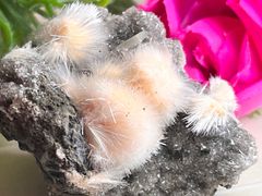 ふわふわメソナイト&トムソナイト　心の平穏にꕤ︎︎　繊維状結晶　原石　母岩付き