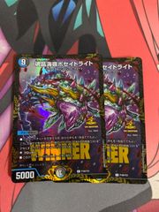 メルカリ便　パーフェクトペテンシー　4枚 パーフェクトペテンシー 4枚 - メルカリ