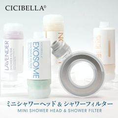 シャワーフィルター 2025新発売 美容成分 ビタミンC 韓国 大人気 洗浄 美肌 香り 乾燥対策 超保湿 安い アロマ 毛穴 1-2ヶ月間使用 ビタミンc