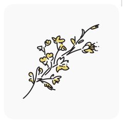 shop-thumbnail
