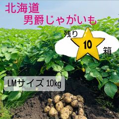北海道　男爵じゃがいも　10キロ