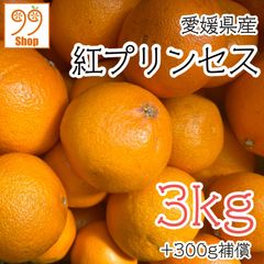 愛媛県産 紅プリンセス 3kg+300g補償分 1899円 訳あり家庭用 柑橘