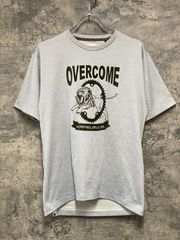 Item thumbnail for item 54aa5c45-3291-4300-8b37-23398de2e51b