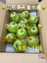 山形県天童市産ラ🍐フランス
