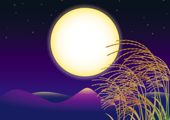 shop-thumbnail