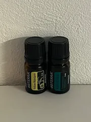 ドテラ doTERRA イエローマンダリン 5ml ラヴィンサラ 5ml