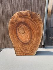 センダン 栴檀 一枚板 46cm 板材 木材 [561]