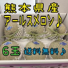 熊本県産　アールスメロン秀品　6玉入り　ケース販売