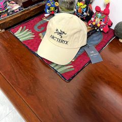 Arc'teryx アークテリクス キャップ 帽子　男女兼用  イェロー