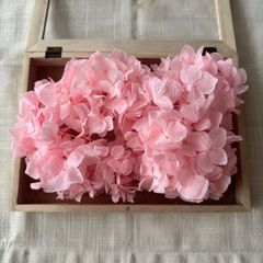 プリザーブドフラワー アジサイ 約10g (ピンク) みちのく 未使用品 ひめあじさい 紫陽花 ヘッド