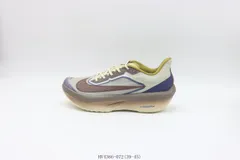 【今日特価】Nike ナイキ ランニングシューズ HV4366-072 ブラウンブルー
