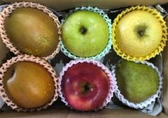 りんご　王秋　ラフランス　秋田県産　家庭用　箱込約2kgのサムネイル