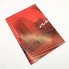 凶器の桜 未使用 映画 フォトブック パンフレット 非売品 デッドストック ヒキタクニオ 窪塚洋介 K DUB SHINE キングギドラ