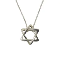 TIFFANY&Co. ティファニー エルサペレッティ スターオブダビデ ネックレス / チェーン SV925 スターリングシルバー アクセサリー ジュエリー ラグジュアリー【レディース】のサムネイル