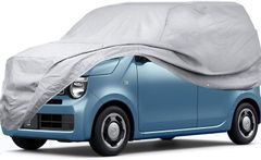 Item thumbnail for item 4074ed1a-3f73-4f61-8324-ad03ba28070f