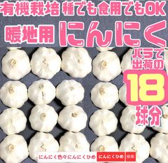 2024年　18球　優しい栽培方法のにんにく　種食兼用　にんにくひめ