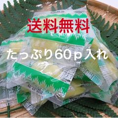 着色料不使用 常温 ミニパック甘酢生姜 5ｇ×60ｐ がり 生姜甘酢漬け すしねた 薄切り しょうが ガリ 酢漬け 無色 白 業務用 寿司 添付