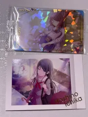 プロジェクトセカイ(プロセカ) プロジェクトセカイ：カラフルステージ！(プロセカ) 星野 星乃 一歌 レア ウェハース カード 出品