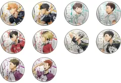 【中古】バッジ・ビンズ 全10種セット 「ハイキュー!! ダッシュ シャイントレーディング缶バッジ」