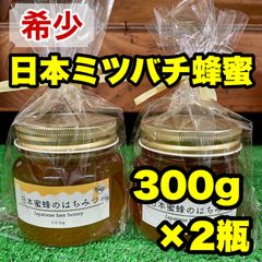 【希少】日本蜜蜂　国産はちみつ 300g×2