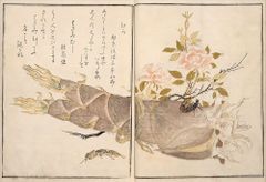 複製画色紙 4枚セット 萩原楽一 少女福河童、観世音菩薩 美品 - メルカリ