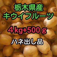 栃木県産 キウイフルーツ Ｍ.Ｌ混合ハネ出し品 4.5kg