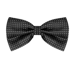 Allegra K ワンタッチ蝶ネクタイ 水玉模様 子供 大人 蝶ネクタイ フォーマル パーティー 卒業 ビジネス ブラックホワイト One Size