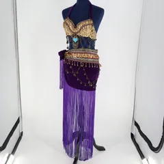 【ベリーダンス用 トライバル衣装】パープル ゴールドコイン 紫 上下セット ベロア生地 装飾豪華 異国情緒 お洒落 ロング トップス ベルト セット