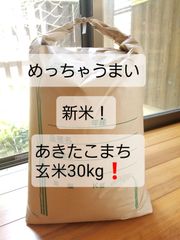 めっちゃうまい！淡路島産新米！あきたこまち玄米30kg❗ - メルカリ