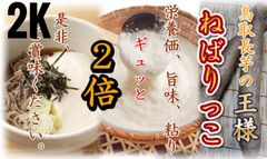 数量限定　美味しすぎる　長芋　ねばりっこ　鳥取県　家庭用　果物　野菜セット