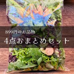4点おまとめセット【899円のお品物×4点】