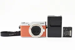 2025年最新】lumix gf9の人気アイテム - メルカリ