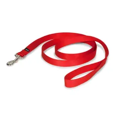 PetSafe ナイロンリード 犬 調整簡単 耐久性が高い ソフト 軽い 大型 犬 リード （幅2.5cm×長さ180c｜在庫あり
