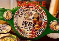 那須川天心直筆サイン入りグローブ、WBCレプリカチャンピオンベルト Yahoo!オークション -「那須川天心 グローブ」の落札相場・落札価格