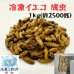 冷凍イエコL 成虫 約500匹200g 冷凍コオロギ - メルカリ