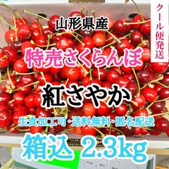 【クール便】山形県産 さくらんぼ 紅さやか 箱込2.3kg サイズ混合 訳あり