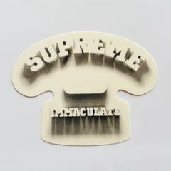 Supreme マラドーナ　ステッカー　35枚 Supreme マラドーナ ステッカー 35枚 2025年最新】マラドーナ
