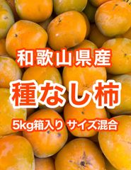 【農家直送！】和歌山県産　たねなし柿(刀根早生柿) 5kg箱入り　サイズ混合　訳アリ　家庭用　送料無料　51