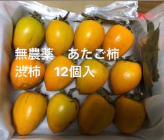 無農薬　あたご柿　渋柿　月桂樹の葉おまけ付
