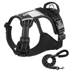 Item thumbnail for item 5637526d-a959-458b-a112-64367202c9a5