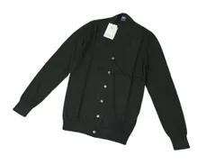 FEDELI 22SS SUPIMA LIGHT DUSTY フェデーリのサムネイル