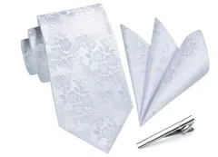 【在庫処分】[HISDERN] ヒスデン 結婚式 ネクタイ シルバー メンズ ネクタイチーフ セット ビジネス 3点セット タイクリップ 高級 ギフトボックス付き 紳士用 礼服用 入学式 卒業式 TA-004S