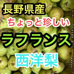 長野県産ラフランス約2kg　西洋梨　珍しい！お菓子作りにも最適！　送料無料！