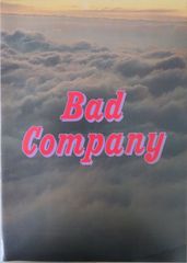 CDS1枚 / 片瀬那奈 / Shine / Revenge ～未来への誓い～(初回盤