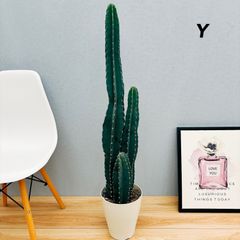 Sakanaさん　つぼ Amazon.com: Sankei 555 SB7722L - Front Driver Side Lower Ball