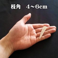 【鹿角】おまかせ 枝角 4cm～6cm エゾ鹿 エゾシカ えぞ鹿 用途自由 ペットおもちゃ、アクセサリー色々。北海道エゾシカつの