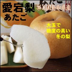 ☆鳥取県産 11月中旬より収穫次第予約順に発送☆愛宕(あたご)梨(5ｋｇ箱5-12玉入)【訳あり自家用】果物なしナシあたご5